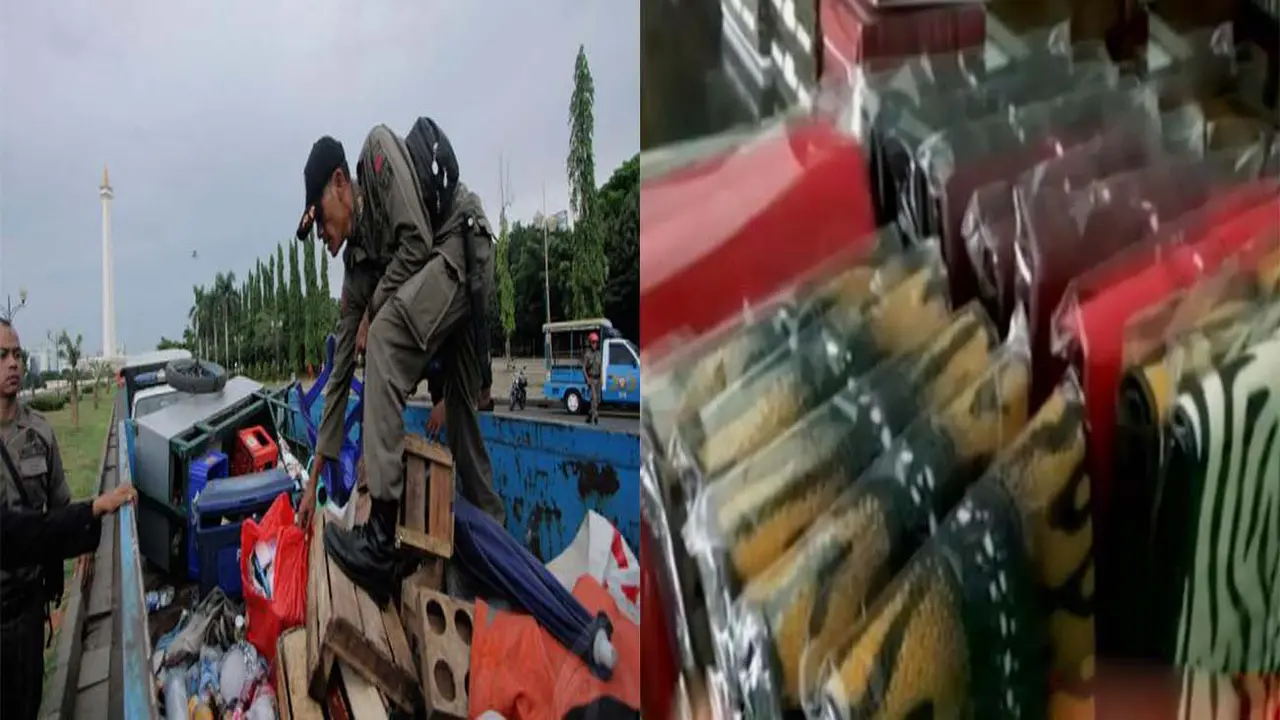 Razia PKL hingga Dompet Kulit Terbuat dari Ikan Pari