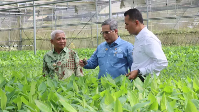 Potensi Pertanian Asahan