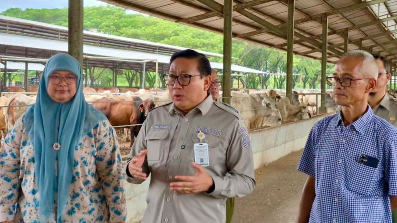 Kementan Jamin Stabilitas Harga Daging Sapi Jelang Natal dan Tahun Baru 2025/2026