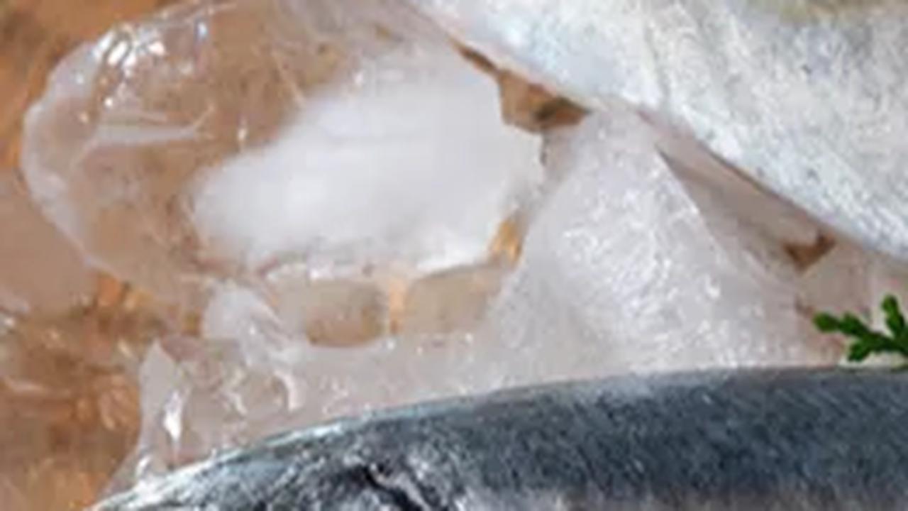 12 Ikan yang Memiliki Protein Tinggi