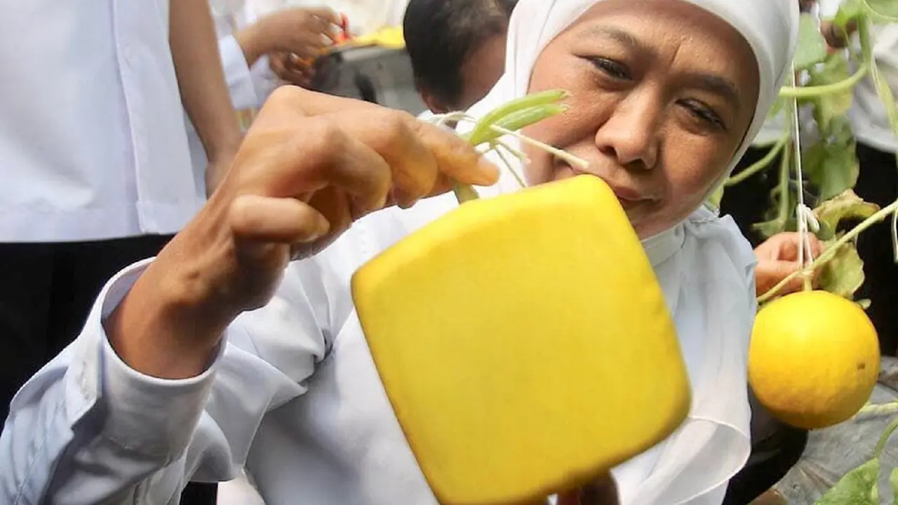 Khofifah Indar Parawansa