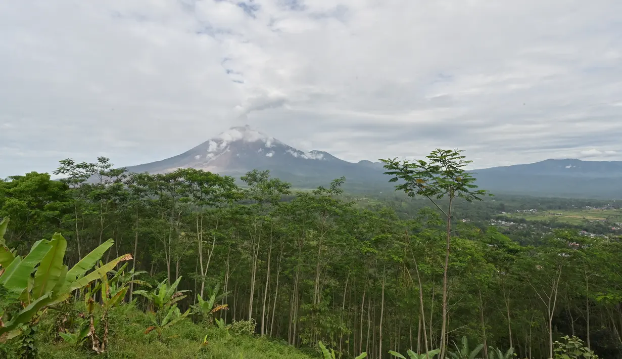 Gunung Semeru terlihat di desa Sumberwuluh di Lumajang, Provinsi Jawa Timur, Selasa (7/12/2021). Gunung Semeru Pada Selasa (7/12/2021) pagi masih mengeluarkan material vulkanik erlihat dari Kabupaten Lumajang, Provinsi Jawa Timur. (AFP/Adek Berry)