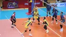 Pada pertandingan pembuka Proliga 2026 tersebut, Bandung BJB Tandamata langsung mengambil alih ritme permainan. (Foto: Dok PBVSI)