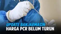 THUMBNAIL PCR