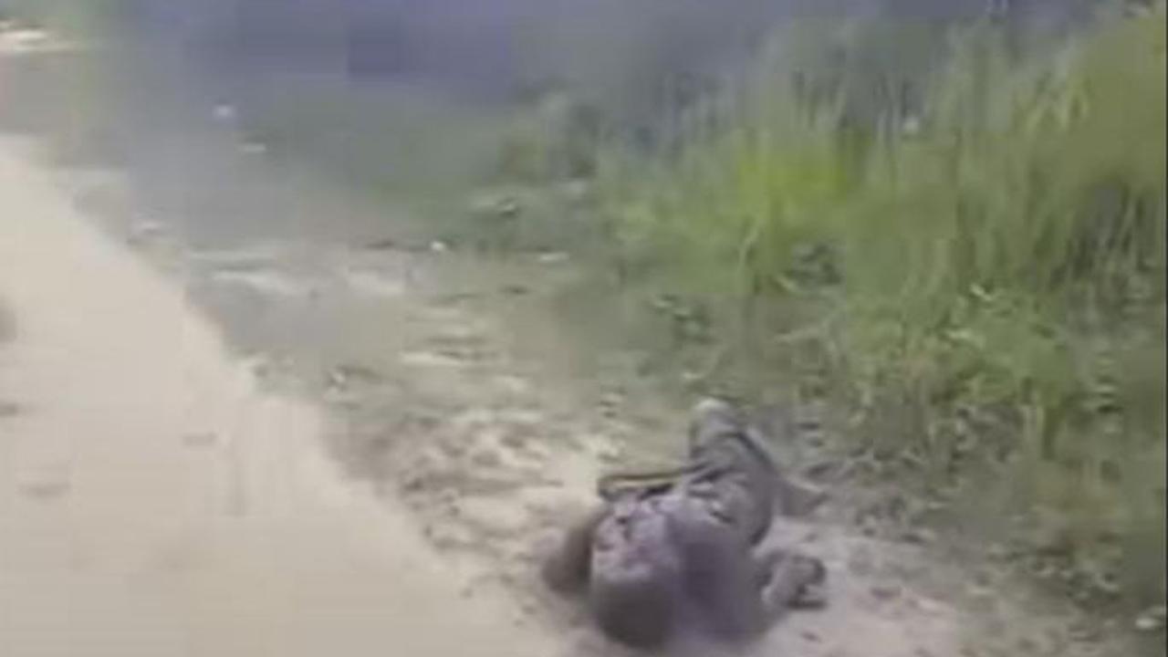 Bocah di Katingan tergeletak dan berlumuran lumpur usai dicekoki arak madu temannya. (Istimewa)