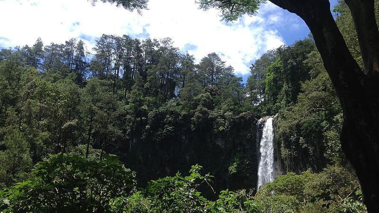 7. Air Terjun Grojogan Sewu
