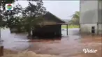 Simak informasi dalam Fokus Pagi edisi (01/12) dengan topik-topik pilihan sebagai berikut, Kebakaran Lapak dan Kendaraan, Banjir Bandang Menerjang Wilayah Tuban, Korban Tewas Akibat Longsor Menjadi 10 Orang, Penyidikan Kasus Anak Bunuh Ayah dan Nenek...