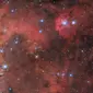 Tarantula Nebula. Dok: NASA