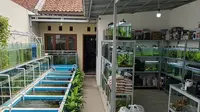 9 Usaha Ternak yang Bisa Digabung dengan Usaha Lain, Lebih Menguntungkan