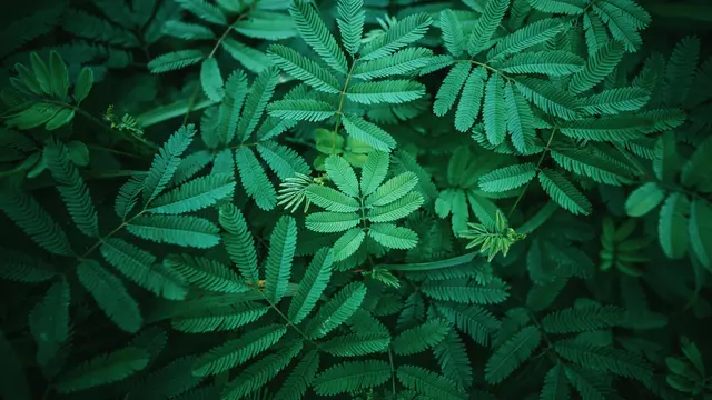 3. Berpotensi Membantu Mengontrol Gula Darah