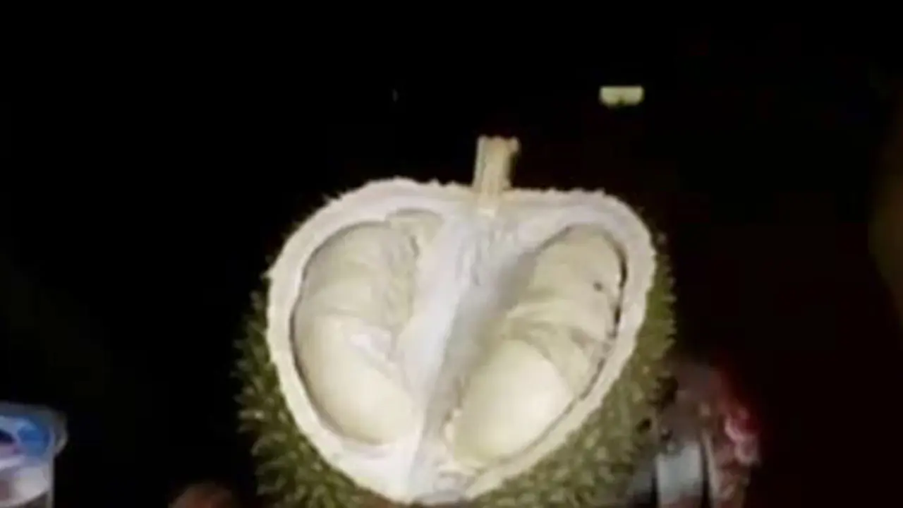 Segmen 7: Wanita Tewas Karena Asyik hingga Wisata di Rumah Durian