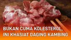 Daging kambing kerap jadi momok bagi sebagian orang yang telah berusia. Menyantapnya dipercaya dapat sebabkan kolesterol tubuh meningkat. Namun di balik itu ada khasiat yang bisa didapat dari daging kambing, tentunya dengan porsi yang terkontrol.