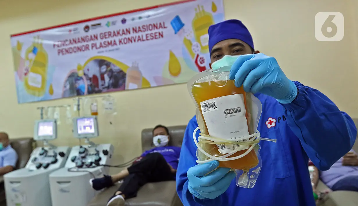 Petugas medis menunjukkan plasma konvalesen hasil donor dari penyintas COVID-19 di PMI DKI Jakarta, Selasa (19/1/2021). Sebanyak 307 penyintas COVID-19 per 1 hingga 15 Januari 2021 telah mendonorkan plasma konvalesen. (Liputan6.com/Herman Zakharia)