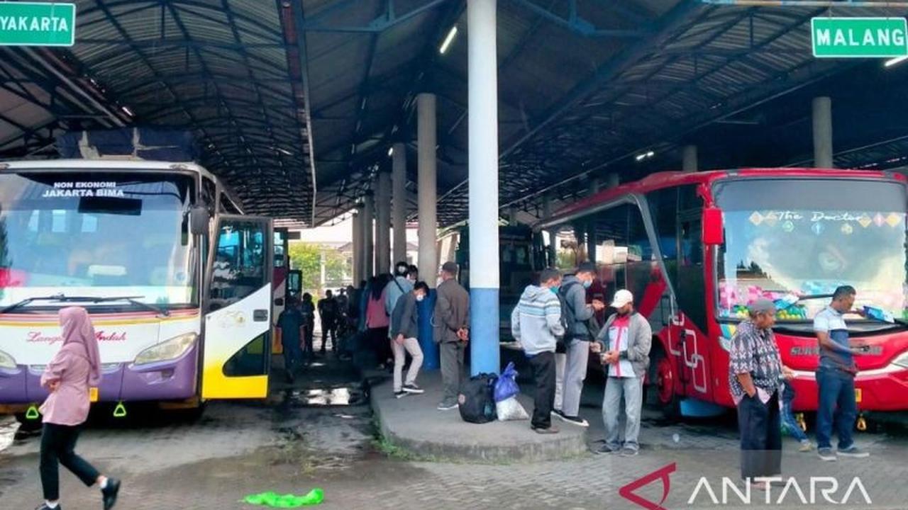 Operasi Bus Tak Berizin Bima-Mataram Terus Berlanjut, Terminal Dara Desak Penertiban