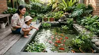 7 Inspirasi Kolam Ikan Dangkal yang Aman untuk Balita dan Tetap Cantik Dipandang