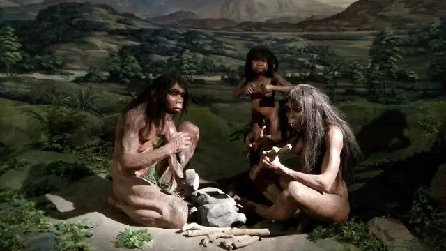Homo Erectus