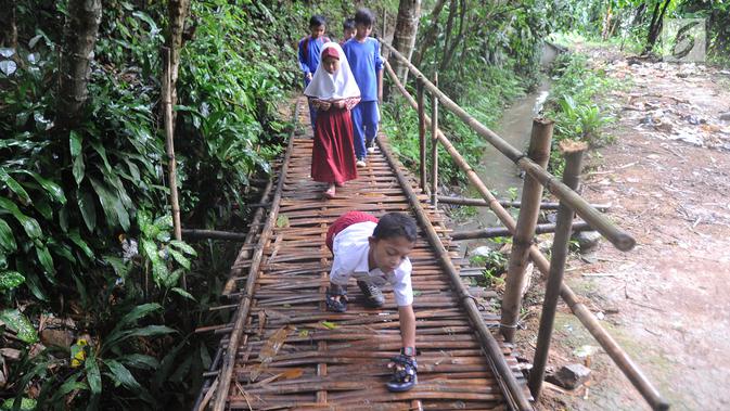 Mukhlis Abdul Holik (8) menyeberangi jembatan bambu menuju sekolahnya di Kampung Cikiwul Tonggoh, Sekarwangi, Sukabumi, Kamis (15/11). (Merdeka.com/Arie Basuki)