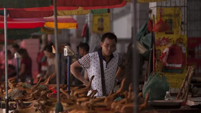 7 Fakta Buktikan Festival Daging Anjing Yulin Kejam Tak Terkira