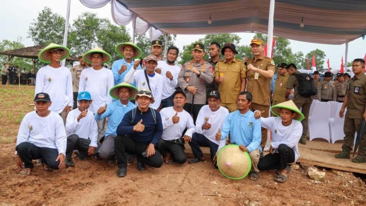 Banten Jadi Percontohan: 50 Hektare Lahan Tidur Dioptimalkan Dukung Ketahanan Pangan Nasional