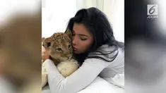 Seorang model pakaian dalam asal Rusia asik bermain dengan anak singa. Kejadian selanjutnya pun mengejutkan.
