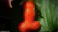Stroberi Mirip Mr.P di Kebun Carole Akan Dilestarikan
