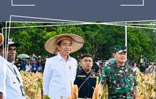 Manfaatkan Lahan Guna Secara Optimal, Pakar Pertanian Apresiasi Kebijakan Pangan dan Pertanian Era Jokowi