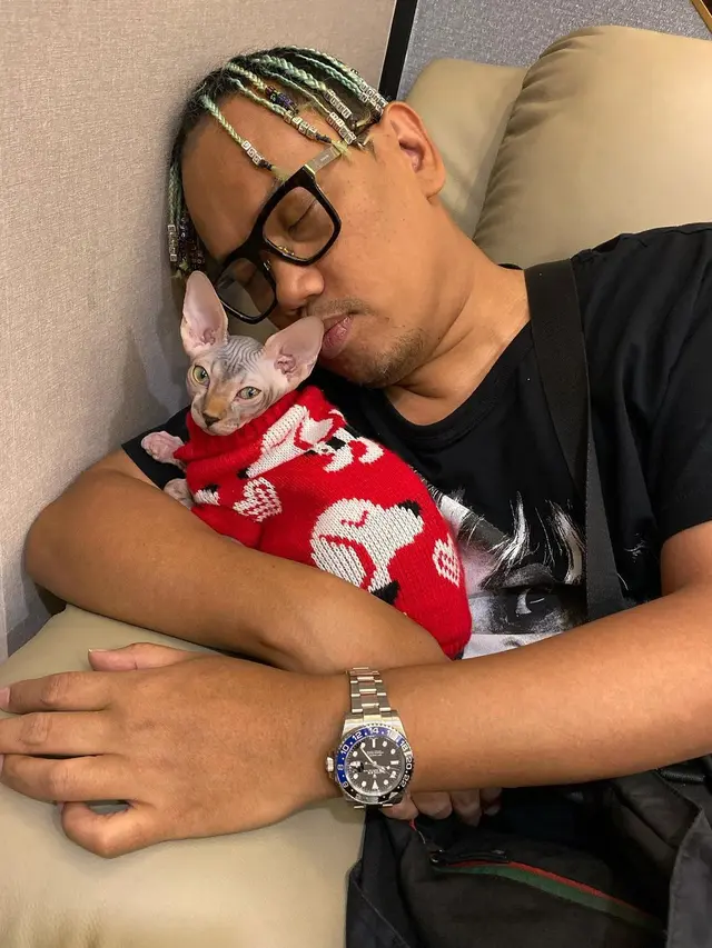 ilustrasi potret artis tanah air dengan kucing peliharaan yang menggemaskan/instagram: king_uyakuya