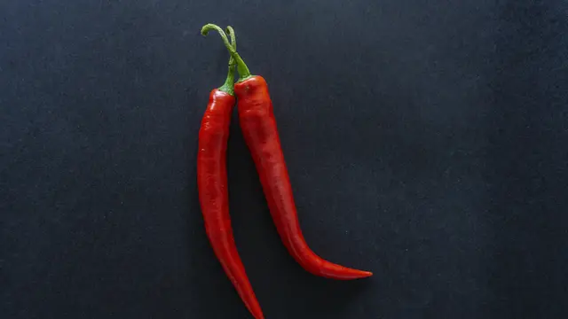 Ilustrasi cabai, pedas