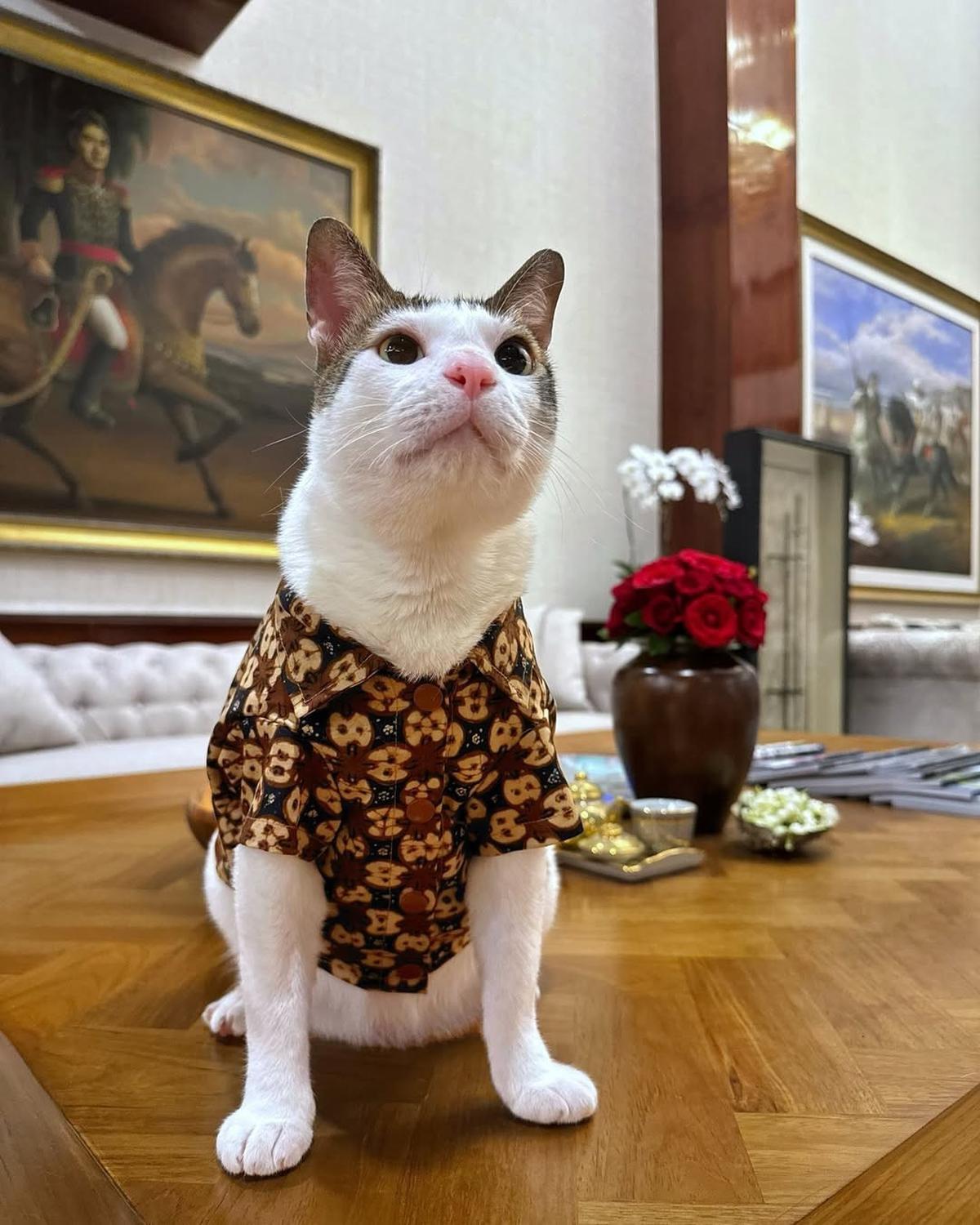 Bobby Kertanegara