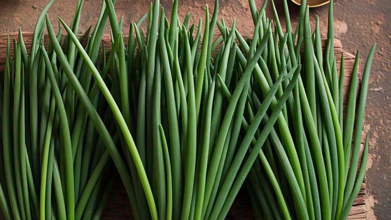 Daun Kucai, Beri Manfaat untuk Menurunkan Kolesterol