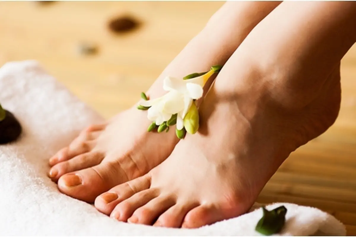 Photo copyright Shutterstock.com