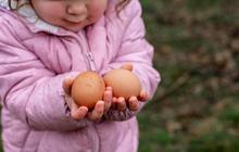 Tak Hanya dari Susu! Ini Deretan Makanan dan Minuman Tinggi Kalsium yang Bantu Pertumbuhan Anak Lebih Optimal