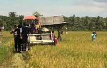 Fakta Unik: Pasaman Barat Terima 65,3 Ton Bantuan Benih Padi dari Kementan, Siap Tingkatkan Ketahanan Pangan 2025!