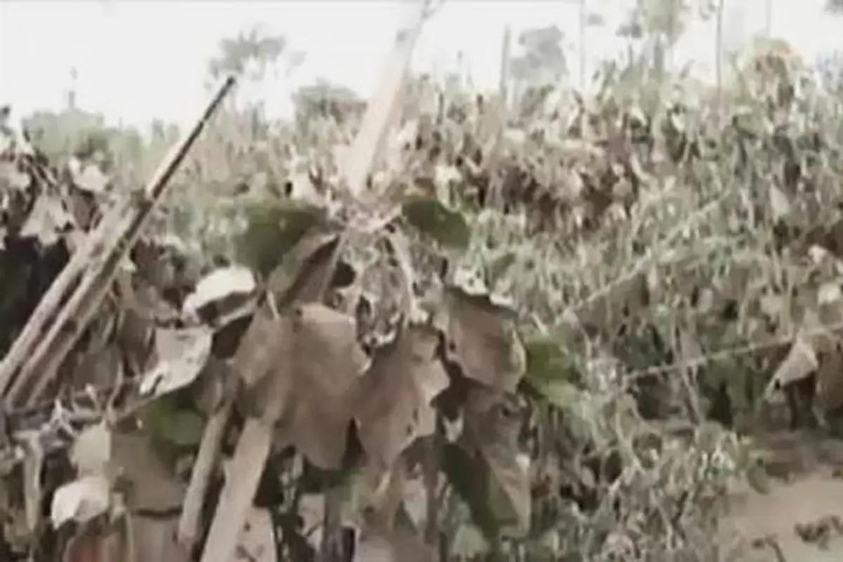 VIDEO: Kawasan Zona Merah Sinabung Berlapis Debu Tebal