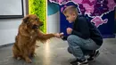 Seekor anjing bernama Chelsea memberikan bantuan kepada seorang anak laki-laki selama sesi terapi anjing di Kyiv, Ukraina, Kamis, 26 Oktober 2023. (AP Photo/Roman Hrytsyna)