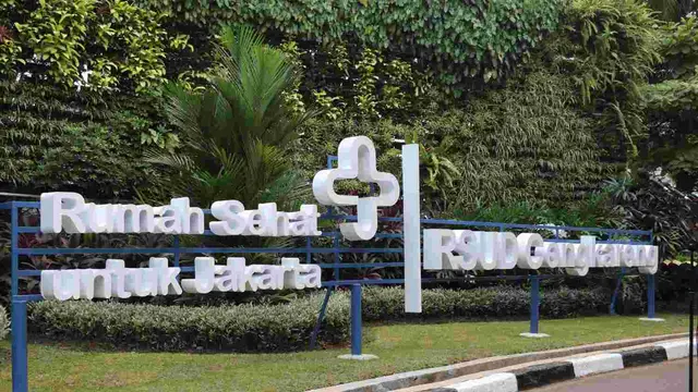 Logo Rumah Sehat untuk Jakarta