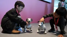 Dua orang anak bermain dengan robot anjing dari Sony, Aibo setelah setelah upacara ulang tahun sekaligus peresmiannya di Tokyo, Jepang (11/1). (AFP Photo/Kazuhiro Nogi)