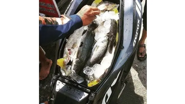 6 Potret Jok Motor Isi Makanan dan Minuman Ini Nyeleneh Banget