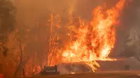 Kobaran api terlihat di atas jalanan selama kebakaran hutan yang dijuluki Carr Fire di Whiskeytown, California, Jumat (28/7). Kebakaran yang melanda selama musim panas ini sudah melahap 11.300 hektar lahan. (JOSH EDELSON/AFP)
