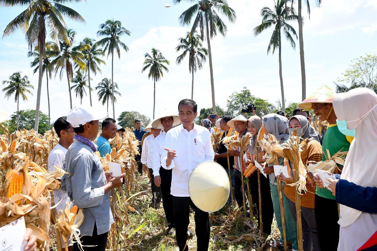 Ragam gaya Jokowi ketika bertemu rakyat