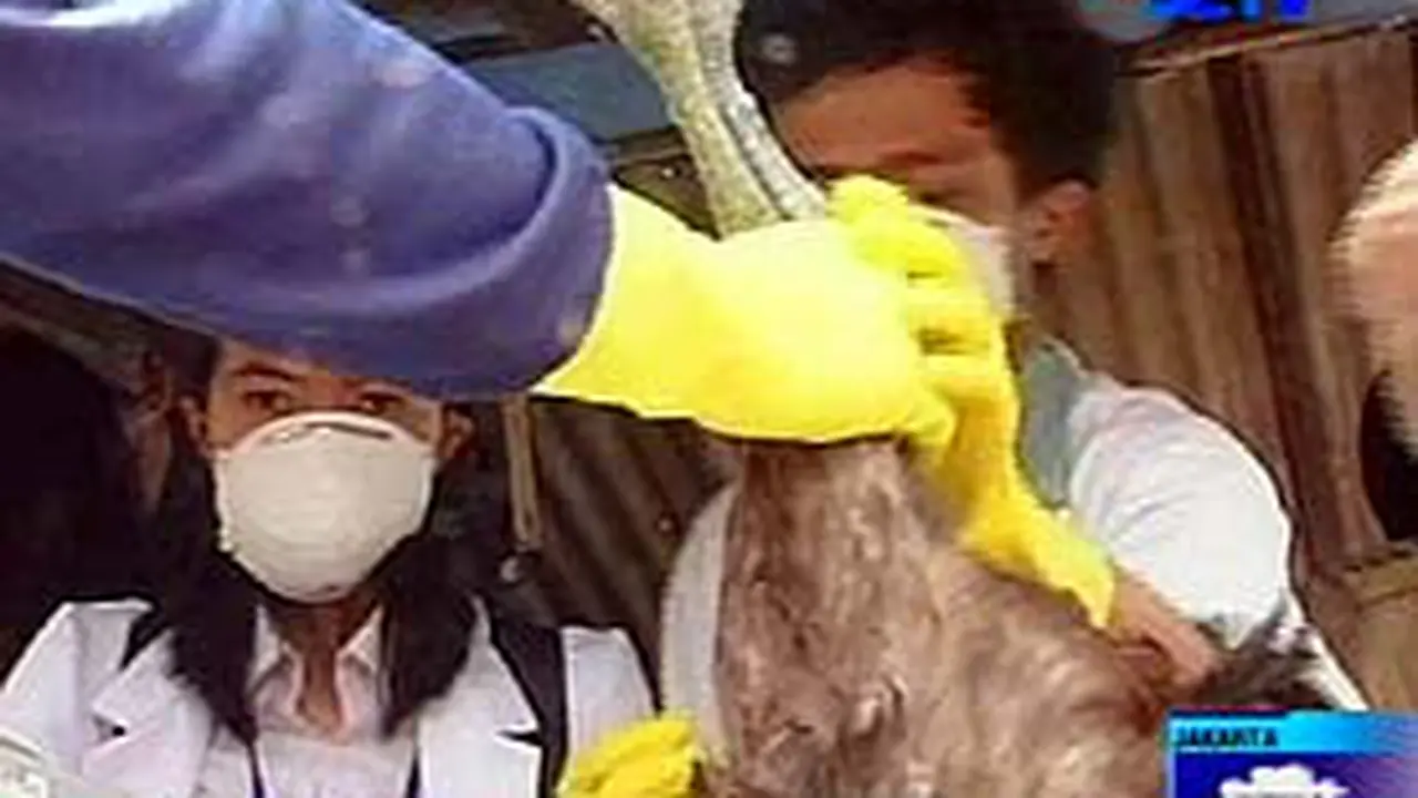 240206bflu.jpg