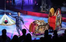 Taman Safari Group Buka Suara Dugaan Eksploitasi Mantan Pemain Oriental Circus Indonesia