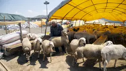 Seorang pedagang domba bekerja di sebuah pasar ternak di Ankara, Turki, 20 Juli 2020. Hari Raya Idul Adha di Turki akan dirayakan mulai tanggal 31 Juli hingga 3 Agustus 2020. (Xinhua/Mustafa Kaya)