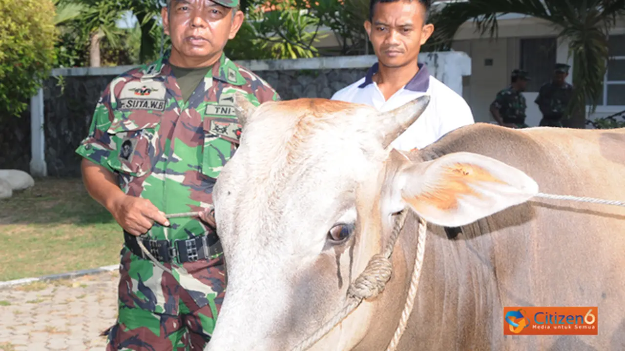 131016vsapi.jpg