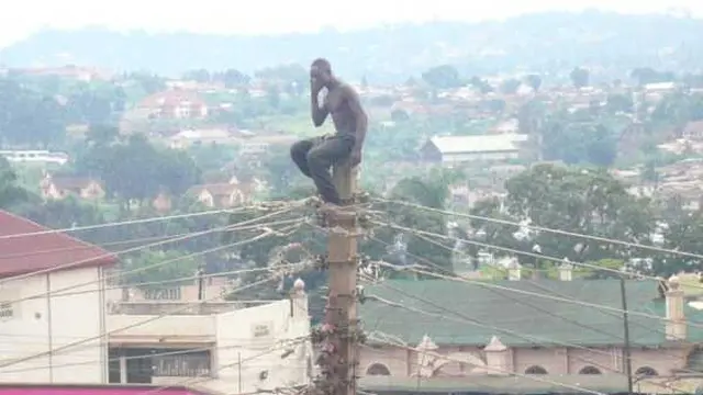 6 Tingkah Gokil Ini Hanya Ada di Afrika, Kamu Pasti Ngakak