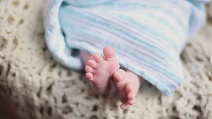 ilustrasi copyright pexels.com/Leah Kelley