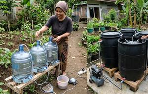 Perbandingan Ternak Lele dalam Galon vs Drum di Lahan Sempit (Foto: Gemini AI)