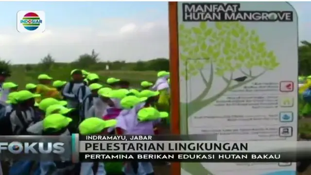 Pertamina bekerjasama dengan Dinas Pendidikan Indramayu mendorong diadakannya ektrakurikuler mangrove bagi pelajar sekolah dasar.