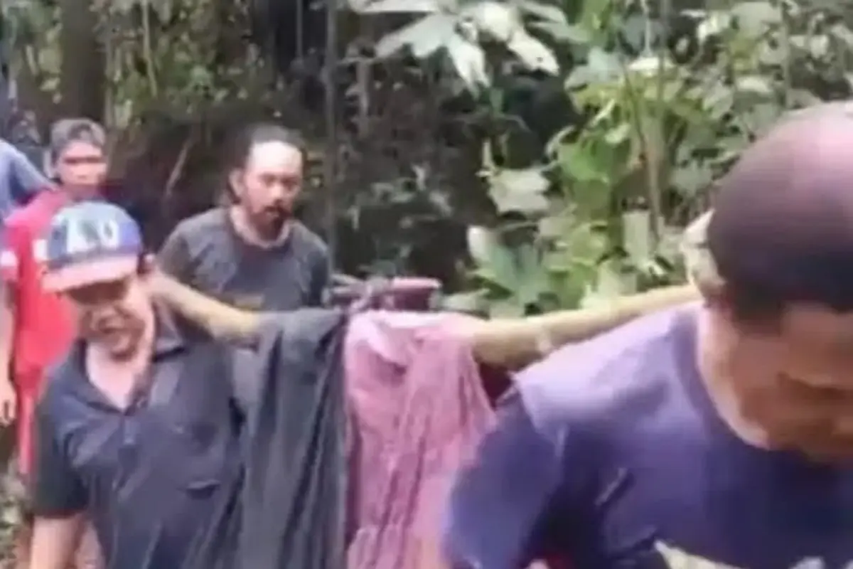 Misteri Pria Asal Cianjur: 4 Tahun Menghilang, Tiba-tiba Ditemukan di Tengah Hutan Gunung Salak