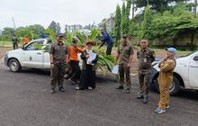 Pemkot Tangerang Salurkan 20 Ribu Bibit Kelapa Genjah, Perkuat Ketahanan Pangan Warga